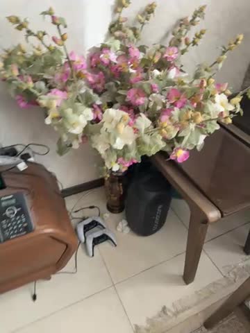 گل خارجی|گل مصنوعی|گلستان (تهران), |دیوار