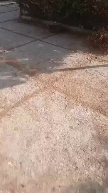 نشت یابی آب و فاضلاب با هوش مصنوعی تضمینی|خدمات پیشه و مهارت|شاهینشهر, سعدی جنوبی|دیوار