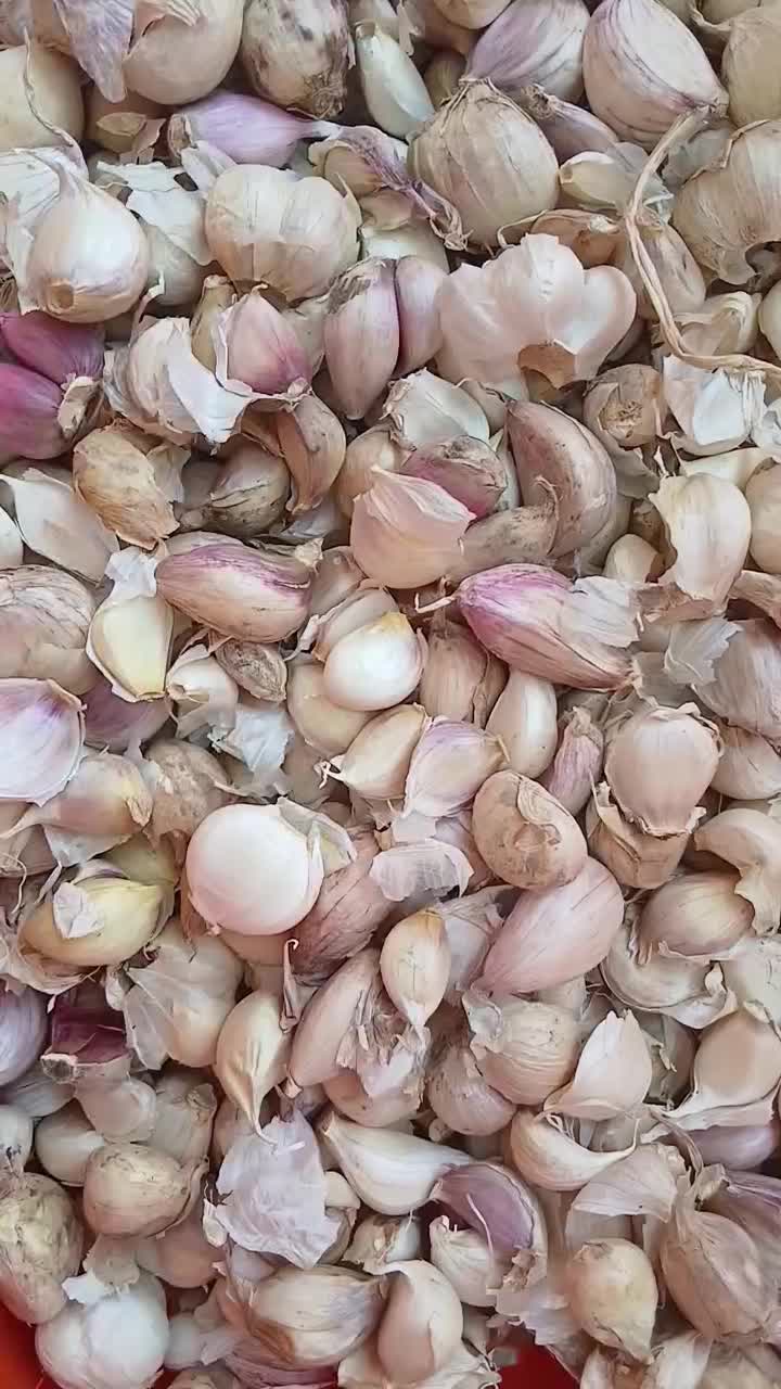 سیر همدان با کیفیت پوست کنده|خوردنی و آشامیدنی|تهران, دکتر هوشیار|دیوار