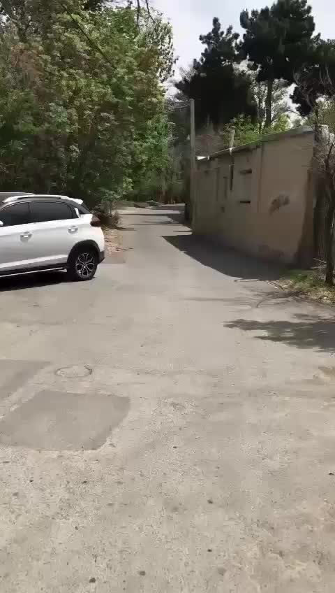 باغچه ۱۵ کیلومتری غرب تهران، سند تک برگ، ۷۳۰ متر|فروش زمین و ملک کلنگی|کرج, کلاک نو|دیوار