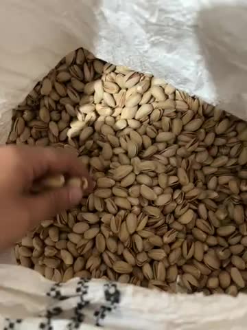 فروش پسته رفسنجان به صورت خرده و عمده|خوردنی و آشامیدنی|ری, دیلمان|دیوار