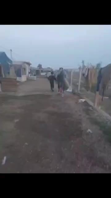 اسب ترکمن نریون|اسب و تجهیزات اسب‌سواری|اسلام‌شهر, شهرک قائمیه|دیوار