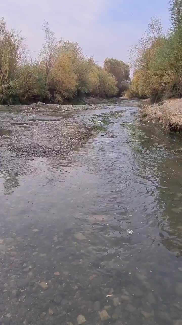 خانه باغ دو خابه|اجارهٔ کوتاهمدت ویلا و باغ|ایلام, |دیوار