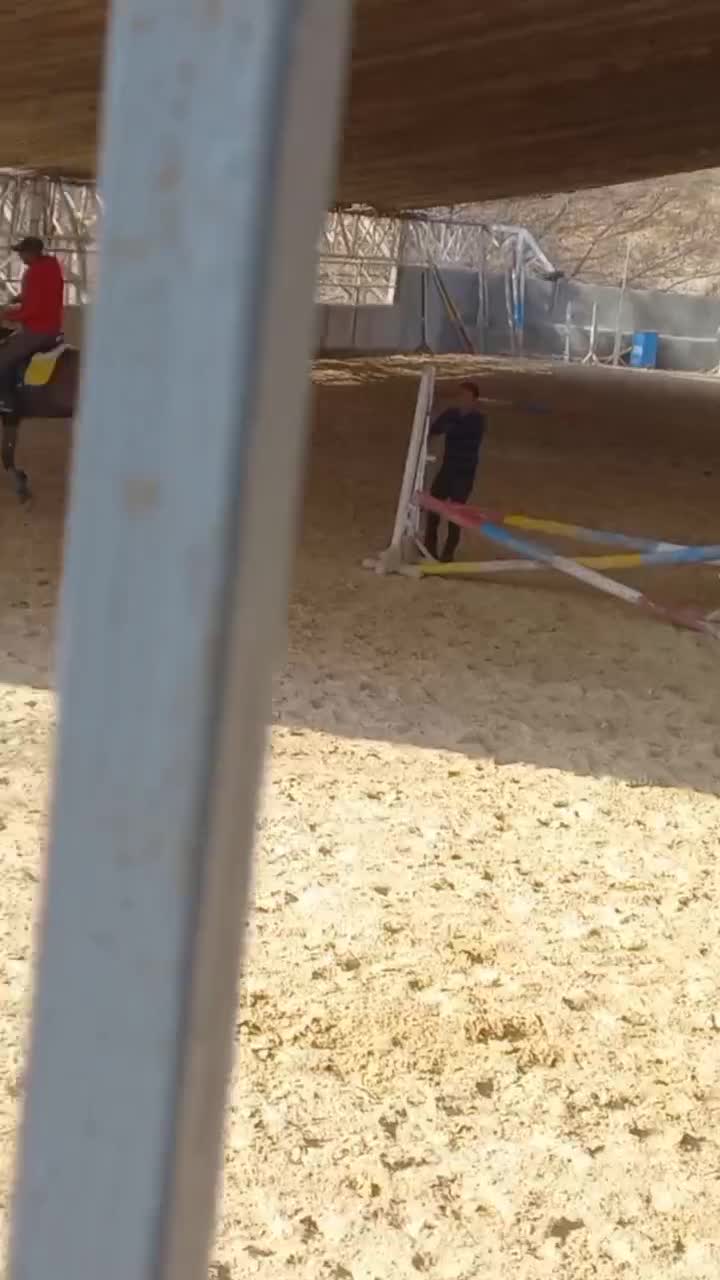 فروش اسب مادیان یکسر|اسب و تجهیزات اسب‌سواری|لواسان, |دیوار