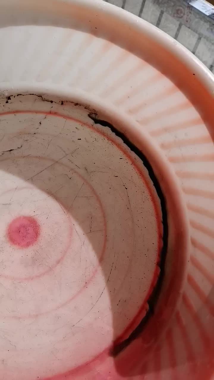 تعمیرات پکیج آبگرمکن بخاری شومینه هود شیرآلات نصب|خدمات پیشه و مهارت|مشهد, صیاد شیرازی|دیوار