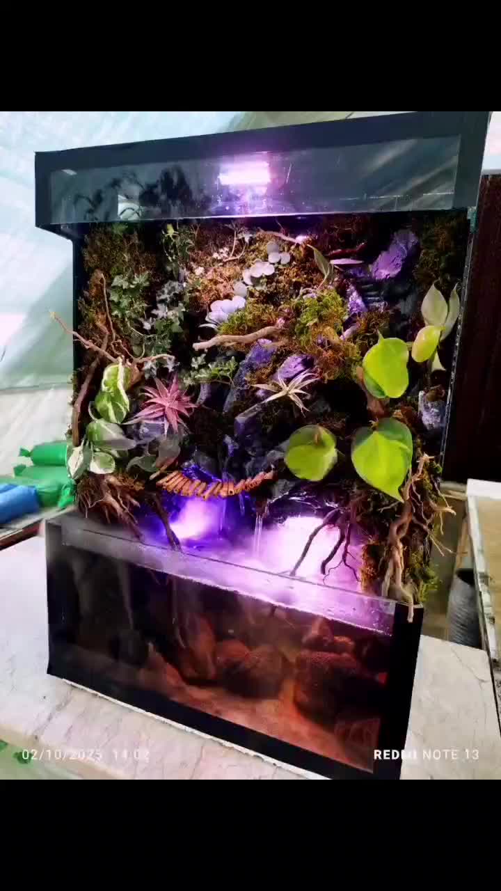 پالاداریوم شیک و زیبا همراه با گیاهان طبیعی|ماهی|زاهدان, |دیوار