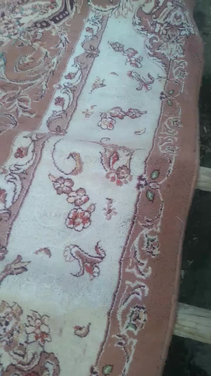 سفید کننده فرش قوی|مواد شوینده و دستمال کاغذی|مشهد, تلگرد|دیوار