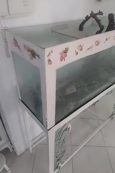 اکواریوم با پایه فرفورژه|ماهی|مشهد, حجاب (شهرک غرب)|دیوار