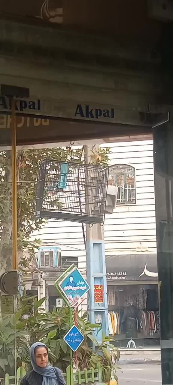 سهره کراواتی ۴گل|پرنده|مشکیندشت, |دیوار