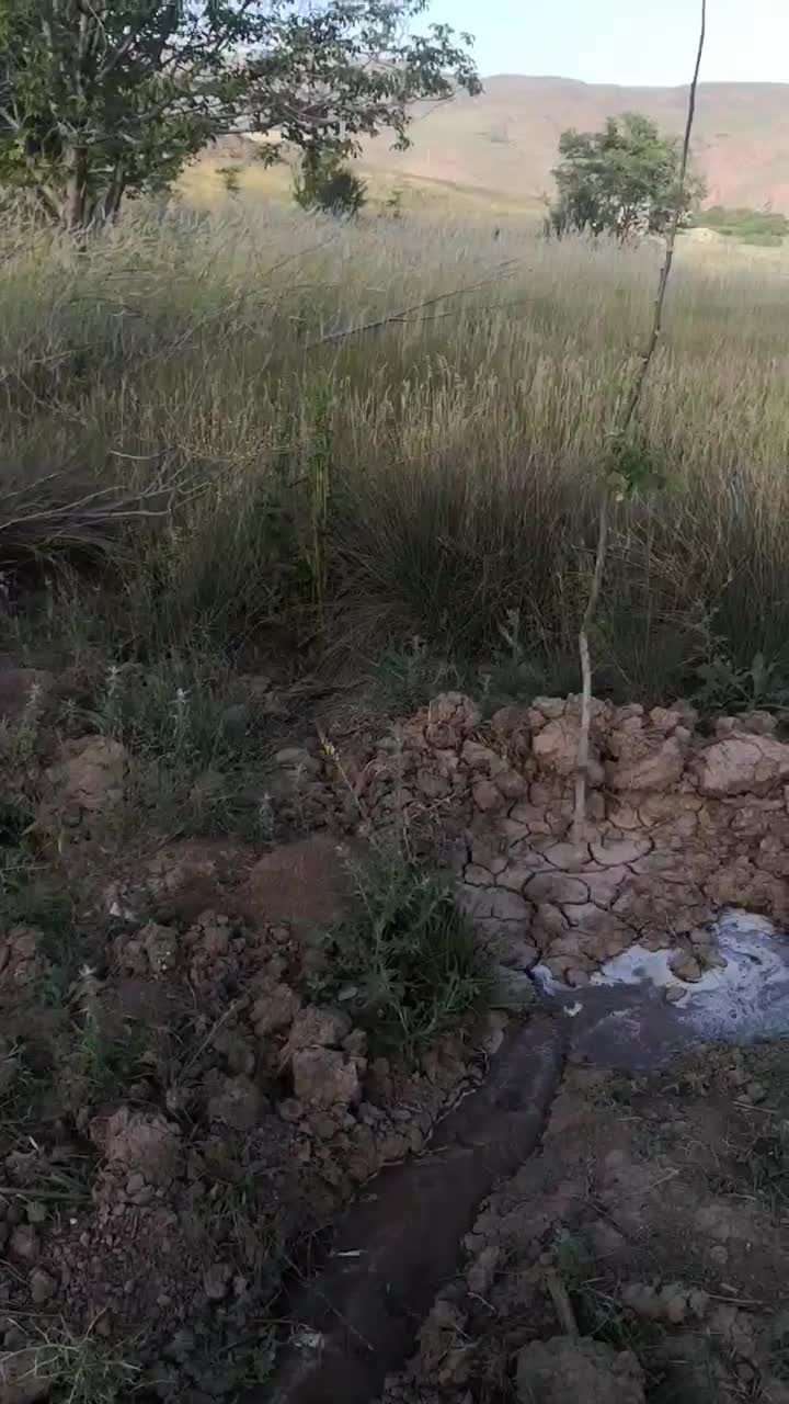 زمین باغچه ای در طالقان معاوضه با خودرو هم دارم|فروش زمین و ملک کلنگی|طالقان, |دیوار