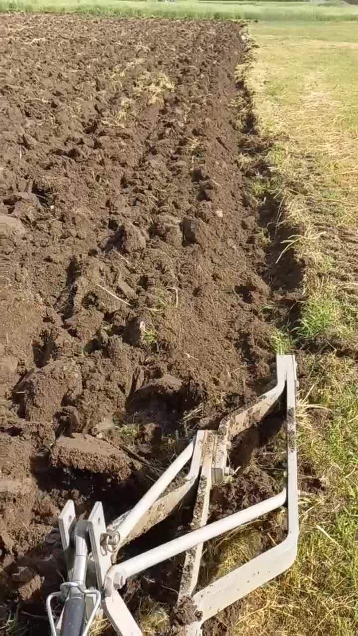 کار با تراکتور|خدمات باغبانی و درختکاری|مریوان, |دیوار