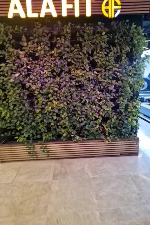 کمک آشپزکارگرساده اتباع آشپزخانه بوفه باشگاه|استخدام خدمات فروشگاه و رستوران|تهران, شیخ هادی|دیوار