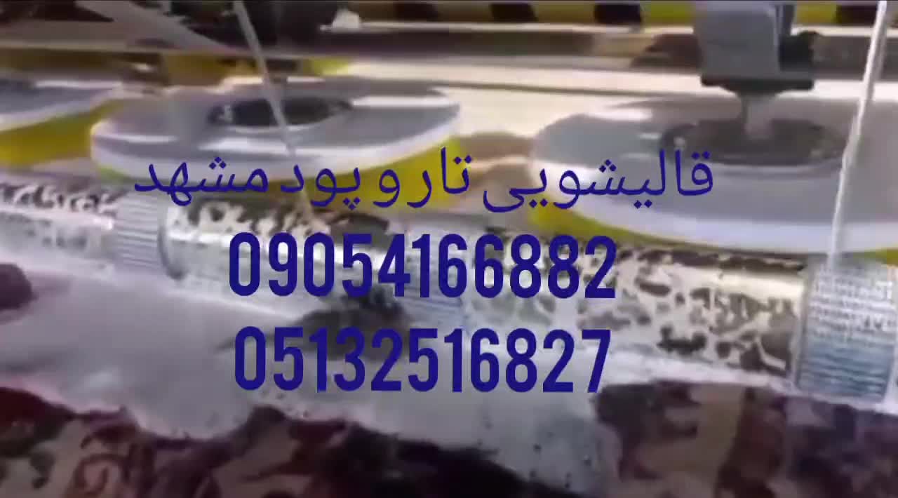 قالیشویی ومبلشویی تار و پود(مشهد) ضمانتی کل شهر|خدمات نظافت|مشهد, شهید آوینی|دیوار