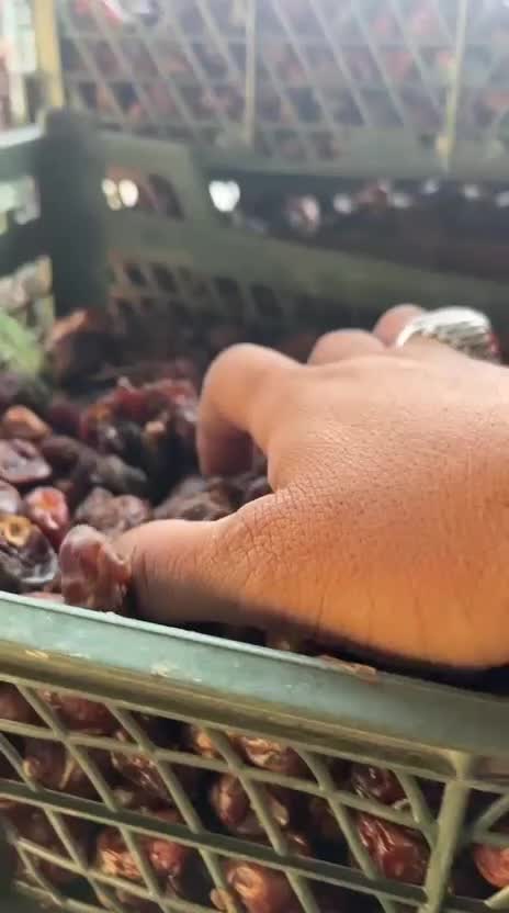 خرما ضایعات|خوردنی و آشامیدنی|خمینی‌شهر, |دیوار