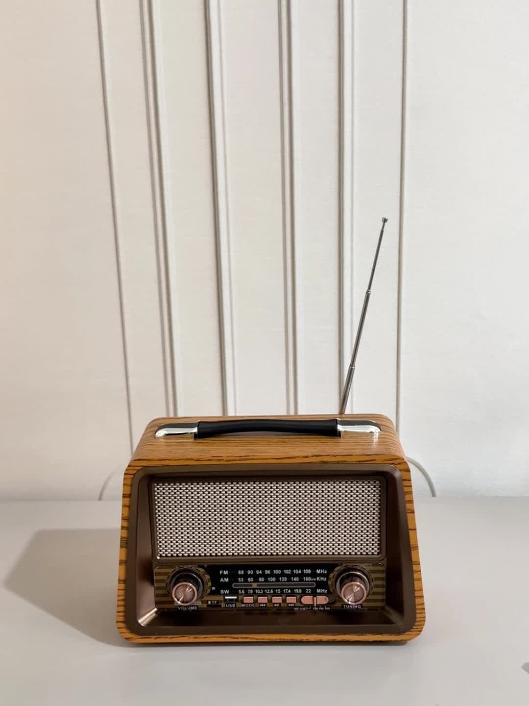 رادیو اسپیکر اصلیRAISENG-R-2066BT|سیستم صوتی خانگی|تهران, هفت چنار|دیوار