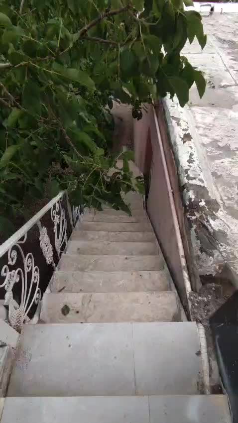 باغ ویلا نوساز بافت روستای خبر|فروش خانه و ویلا|بندرعباس, |دیوار