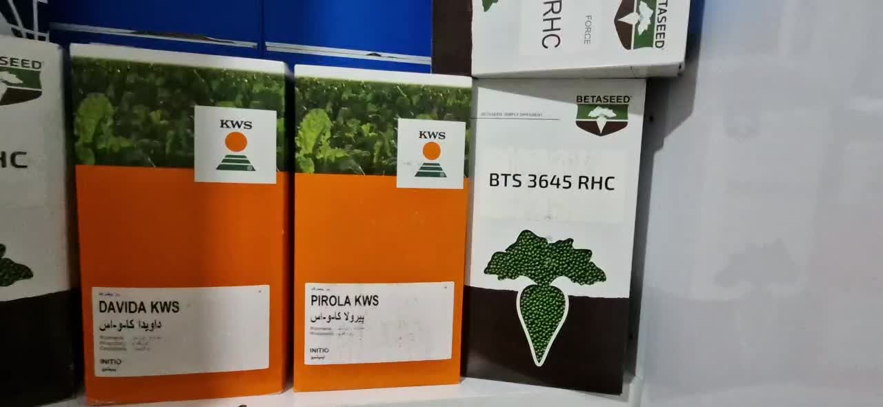 بذر چغندرقند وارداتی و داخلی تضمینی|عمدهفروشی|بیستون, |دیوار