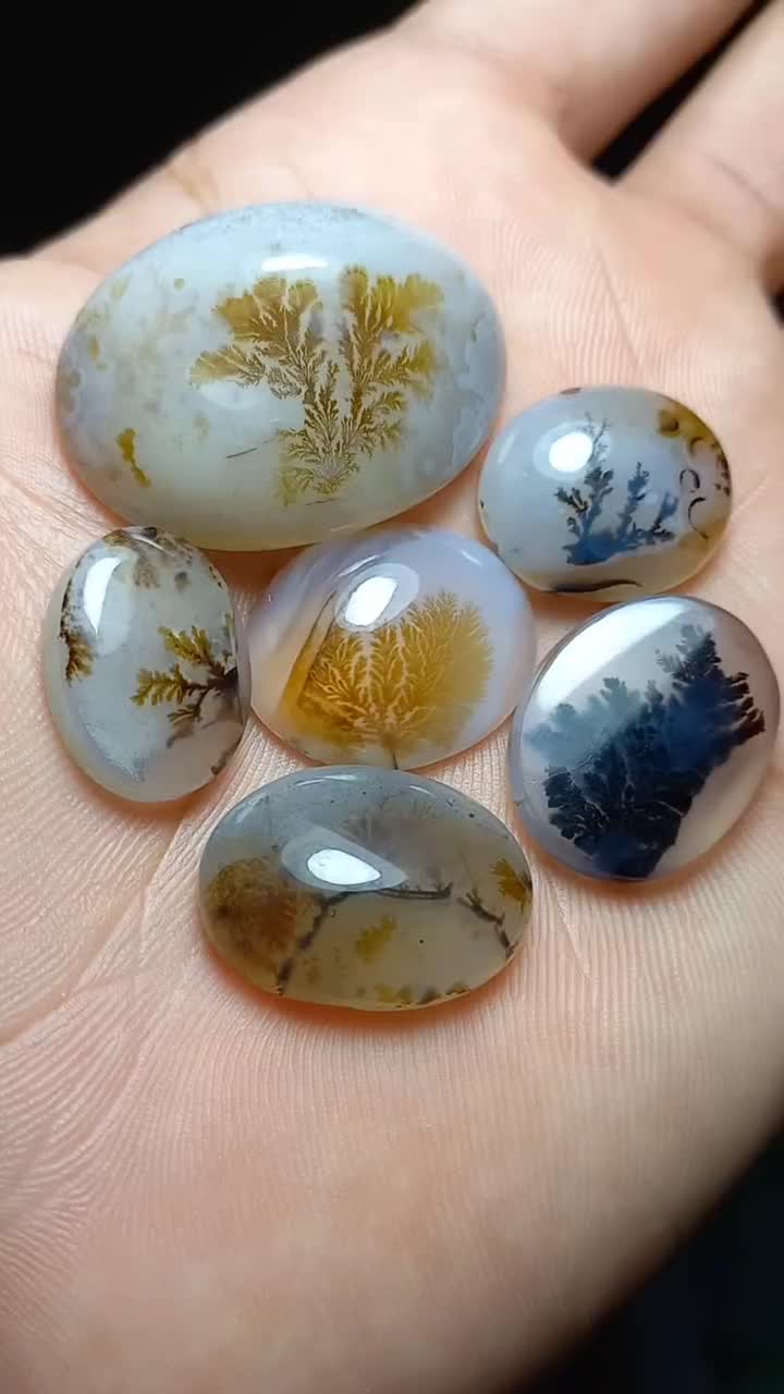 مجموعه‌ی ۶ عددی شجر قائن|جواهرات|فردوس (خراسان), |دیوار