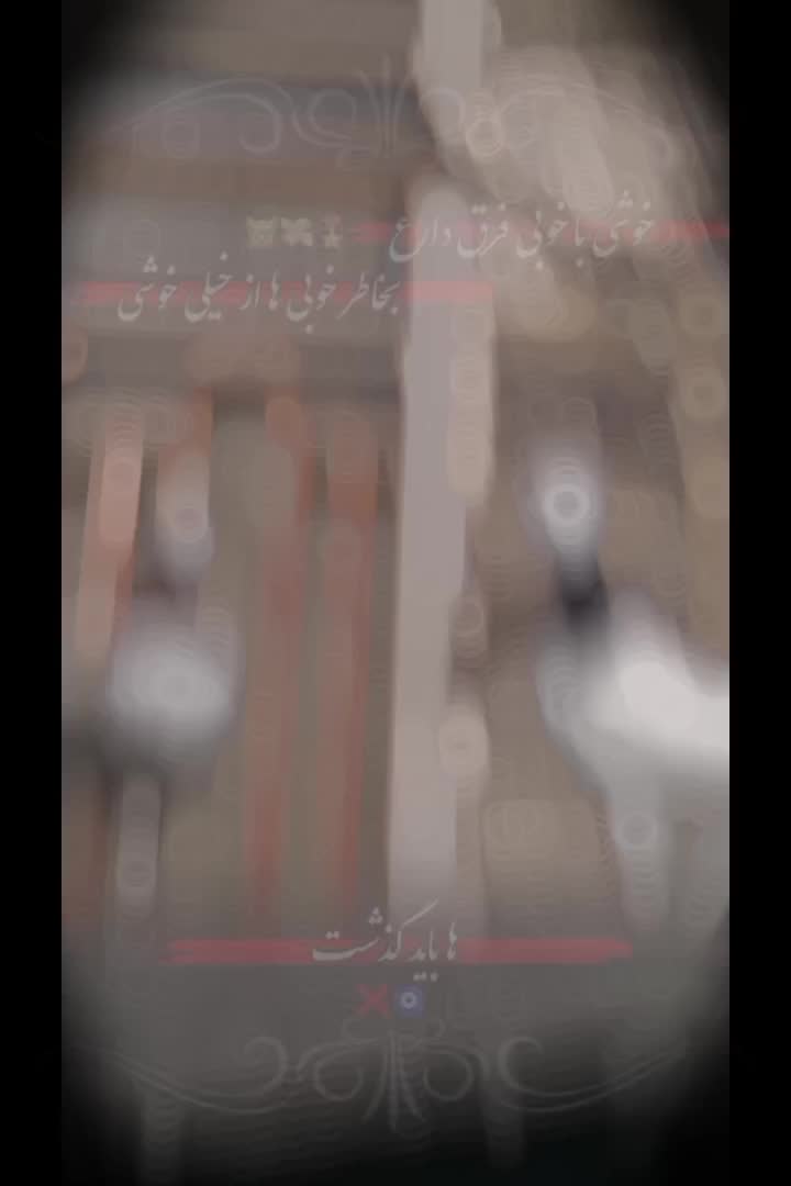 کبوتر طوقی گمشده نر و ماده|حیوانات|زابل, |دیوار