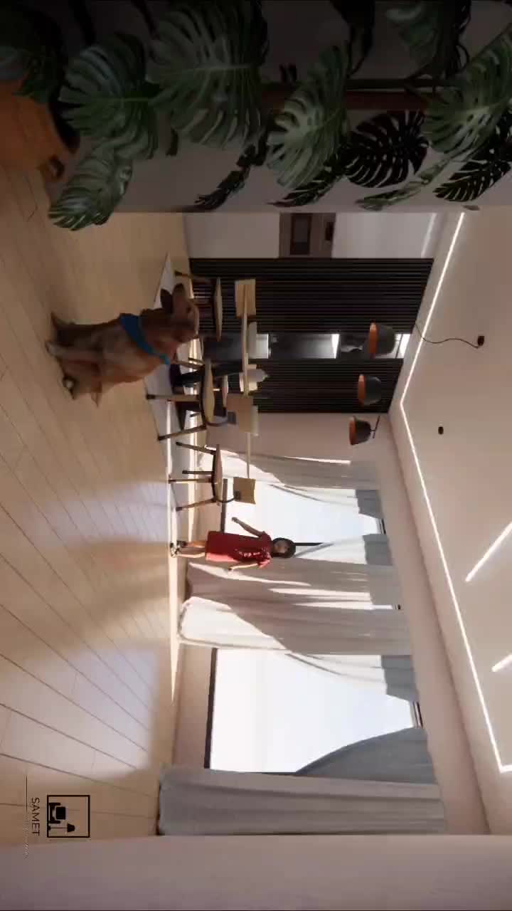 طراحی و اجرا دکوراسیون داخلی|خدمات پیشه و مهارت|بندرعباس, |دیوار