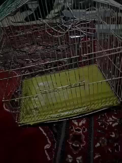 قفسه|لوازم جانبی حیوانات|تهران, نازی‌آباد|دیوار