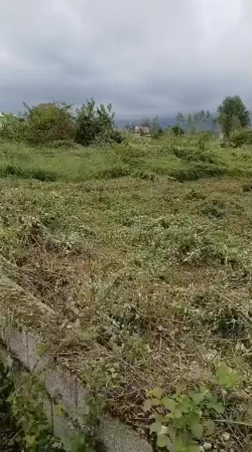 زمین ۵۴۱ متری/سند شش دانگ/پروانه ساخت دارد/نشتارود|فروش زمین و ملک کلنگی|نشتارود, |دیوار