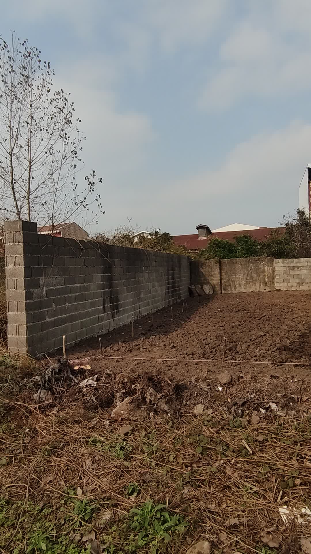 فروش زمین مسکونی تربگوده سند تک برگ دو کله (مالک)|فروش زمین و ملک کلنگی|بندر انزلی, تربه گوده|دیوار