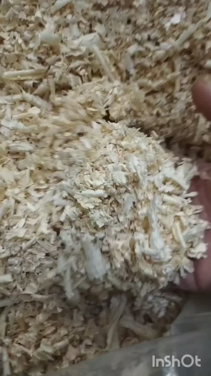 یونجه و پوشال خرگوش و خوکچه|لوازم جانبی حیوانات|تهران, فلسطین (میدان انقلاب)|دیوار