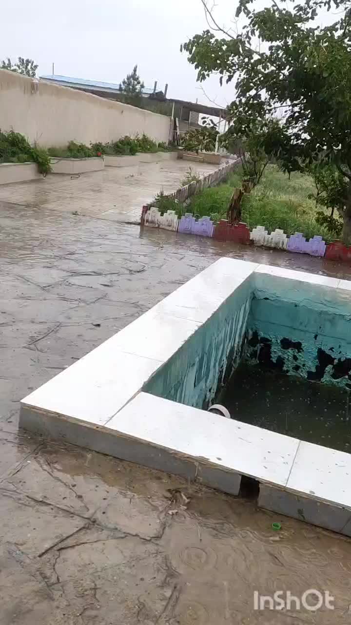 راهنمایی کنید|فعالیت داوطلبانه|مشهد, لقمانی|دیوار