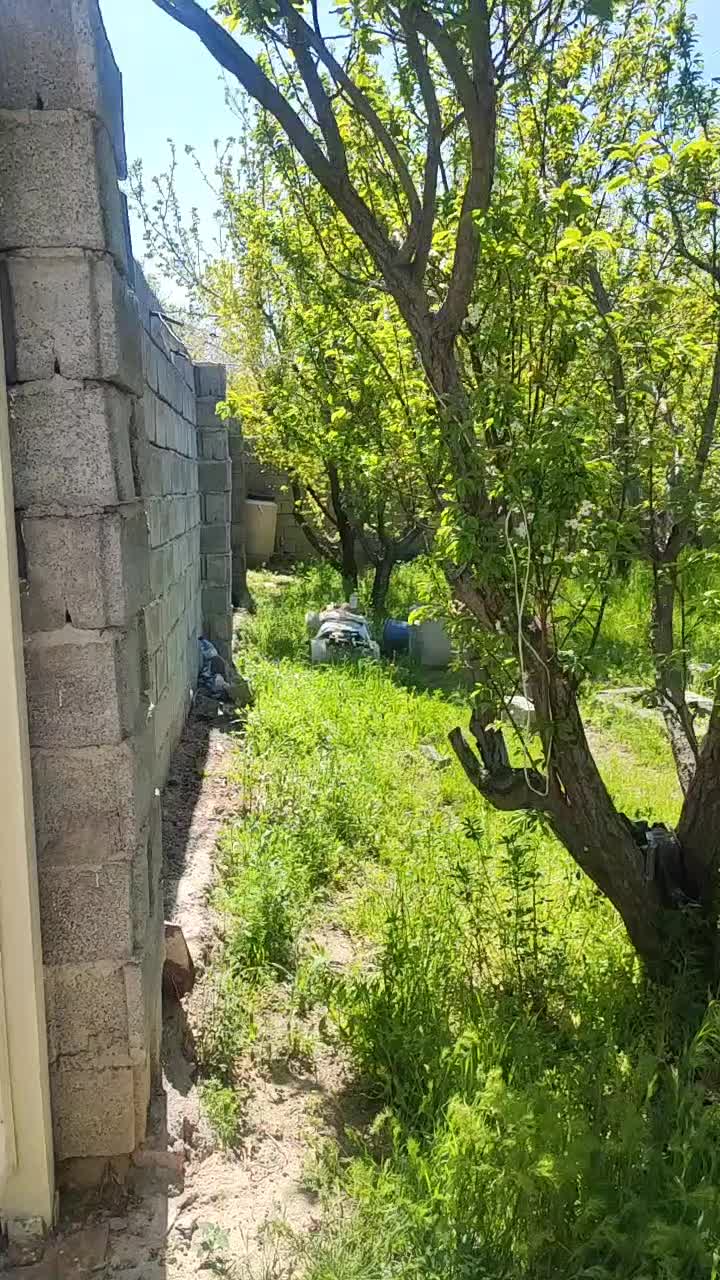 باغ|فروش زمین و ملک کلنگی|خسروشاه, |دیوار