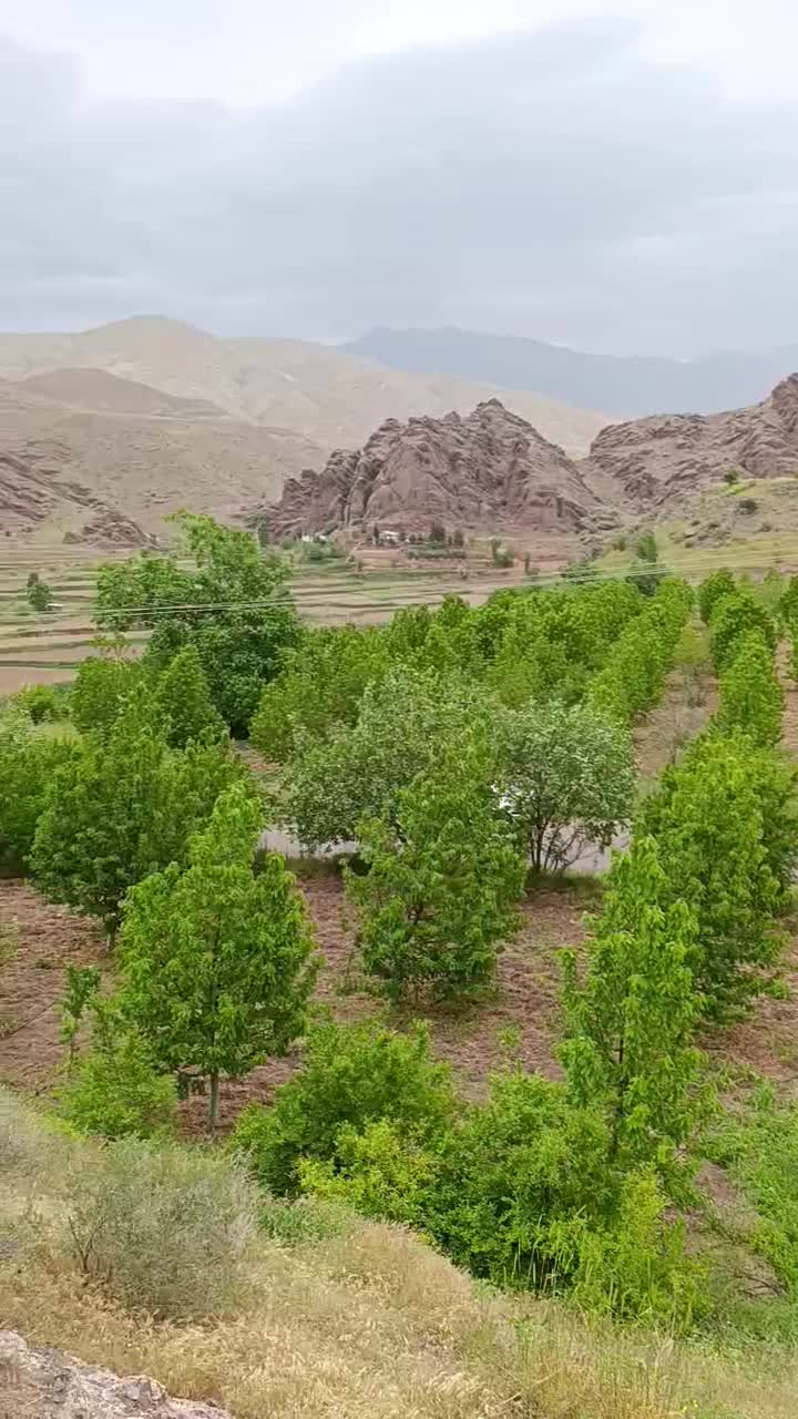 زمین کشاورزی باغ گیلاس6000هزار|فروش دفتر صنعتی، کشاورزی، تجاری|تهران, پاسداران|دیوار