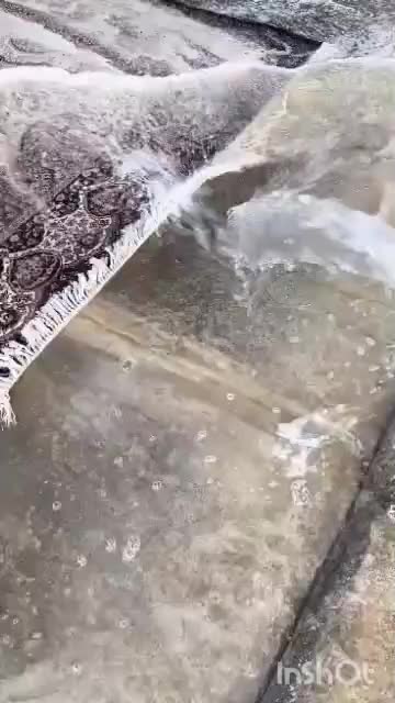 قالیشویی مروارید چابهار|خدمات نظافت|چابهار, |دیوار