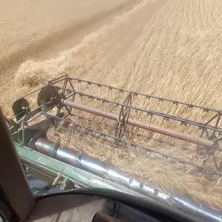 ۲کمباین مدل ۹۴ و ۹۵ در حد زیر بند چین|خودرو سنگین|شاهنجرین, |دیوار