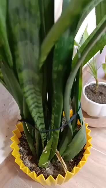 اجاره سالن در سلمان فارسی با امکانات و وسایل کامل|اجارهٔ دفتر کار، اتاق اداری، مطب|ایذه, |دیوار