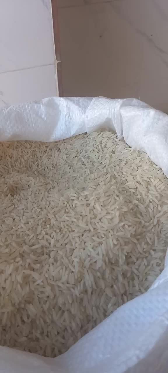 برنج فجر|خوردنی و آشامیدنی|گرگان, |دیوار