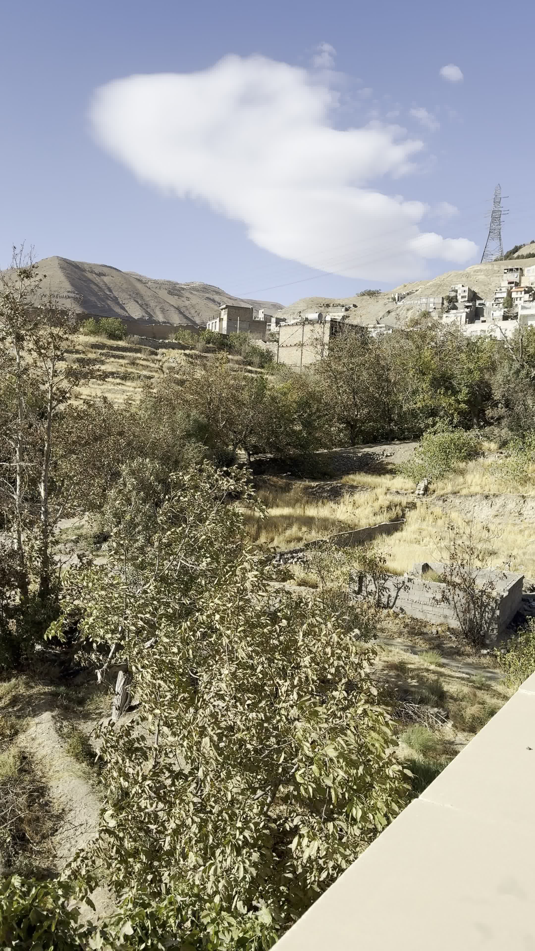 ۱۶۵۰ متر زمین با ۱۰۰۰متر دربست در ۳ طبقه|فروش زمین و ملک کلنگی|تهران, جنتآباد شمالی|دیوار
