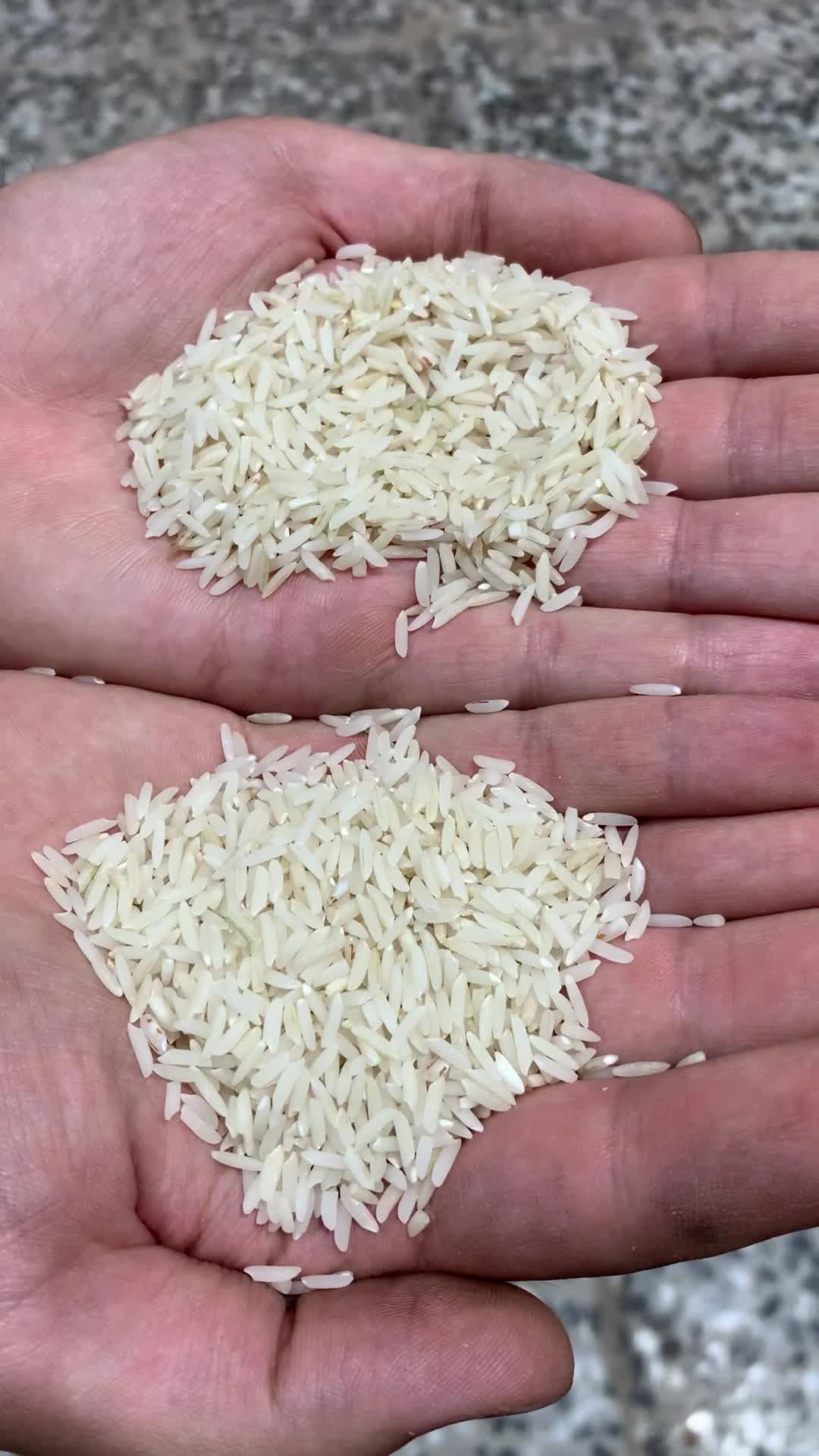 برنج هاشمی الموت تغذیه شده از چشمه اب معدنی وگل|خوردنی و آشامیدنی|قزوین, |دیوار