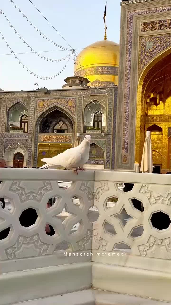 تور مسافر بری مشهد ۶روزه|تور و چارتر|جهرم, |دیوار