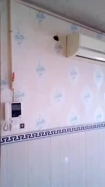 اجاره واحد مسکونی ۶۰متری فول در صباشهر|اجارهٔ آپارتمان|صباشهر, |دیوار