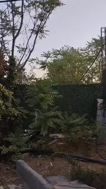 اجاره مغازه ۱۵ متری در آبشار تهران (دریاچه)|اجارهٔ مغازه و غرفه|تهران, آبشار تهران (دریاچه)|دیوار