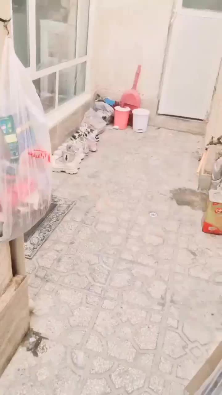 رهن منزل ویلایی|اجارهٔ خانه و ویلا|مشهد, شهید قربانی|دیوار