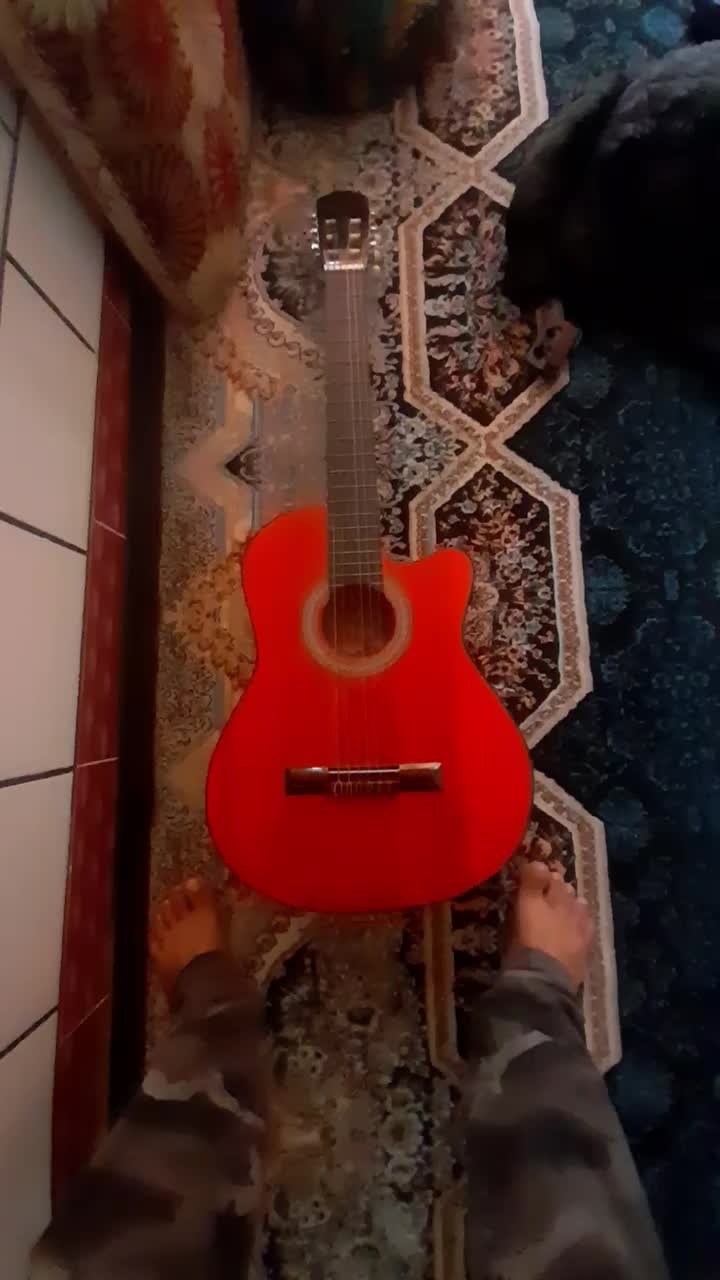 گیتار نو استفاده نشده|گیتار، بیس، امپلیفایر|اندیمشک, |دیوار