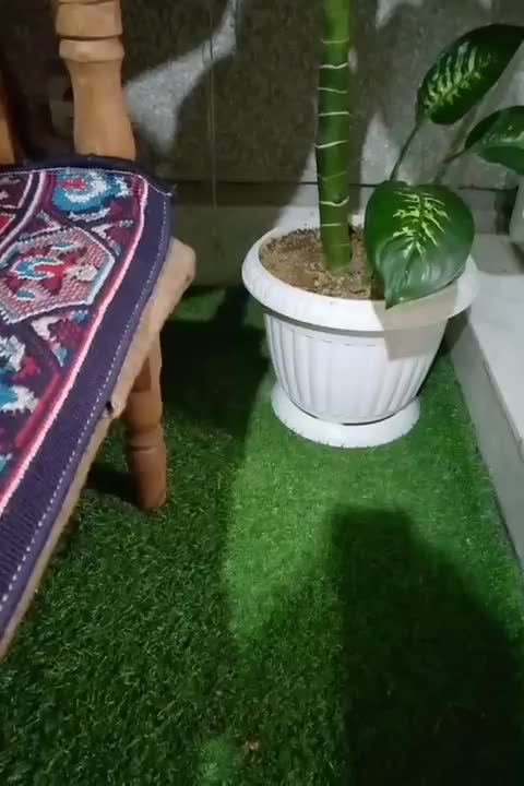 خدمات فنی مهندسی تاسیسات لوله کشی|خدمات پیشه و مهارت|تهران, تختی|دیوار