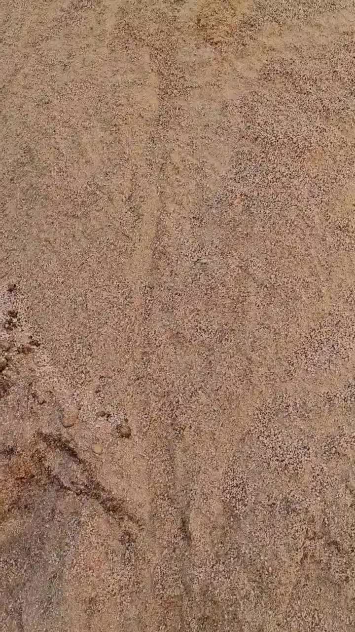 کنجاله زیتون پودر شده درجه یک|حیوانات مزرعه|رشت, پستک|دیوار