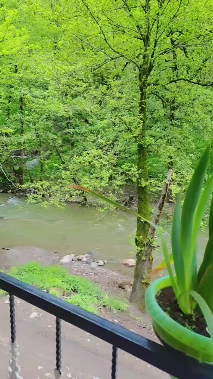 **ویلا جنگلی در دل طبیعت**|اجارهٔ کوتاه‌مدت ویلا و باغ|ماسوله, |دیوار