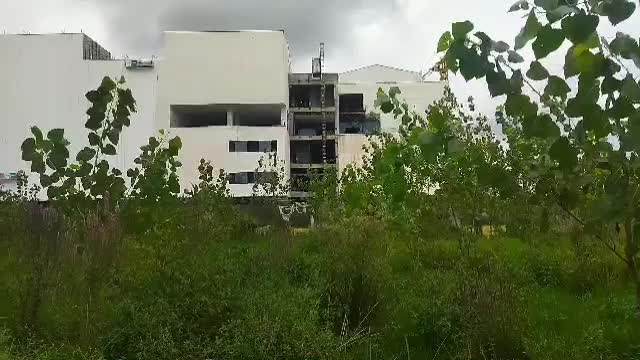 زمین ۱۵۰۰ متری جنب سیتادیوم مناسب برای کلبه و ویلا|فروش زمین و ملک کلنگی|رشت, گلباغ نماز|دیوار