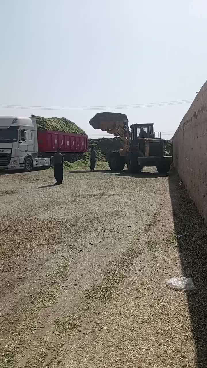 فروش انواع خوراک دام|عمدهفروشی|هامون, |دیوار