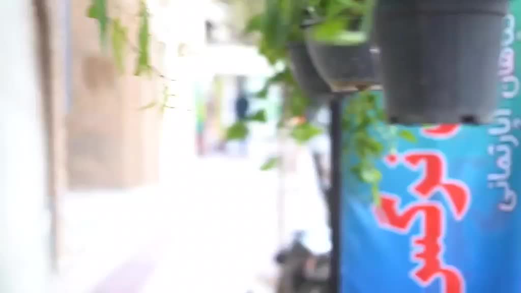 هدیه روز زن - گل‌فروشی گل نرگس|گل و گیاه طبیعی|کوهدشت, |دیوار