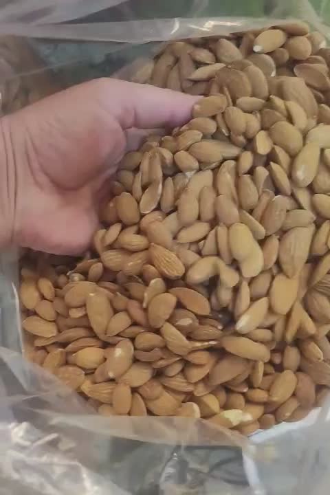 فروش مغز بادام|خوردنی و آشامیدنی|شیراز, شهرک گلستان|دیوار