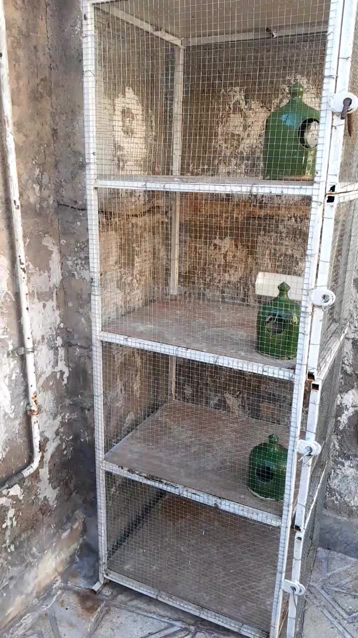 ۵طبقه جفتی|لوازم جانبی حیوانات|بوئین زهرا, |دیوار